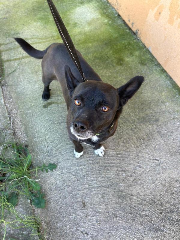 ARON, TAGLIA PICCOLA, DOLCISSIMO Foto 2